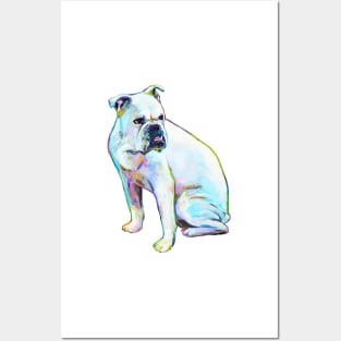 Georgia the Bulldog by Robert Phelps Posters and Art